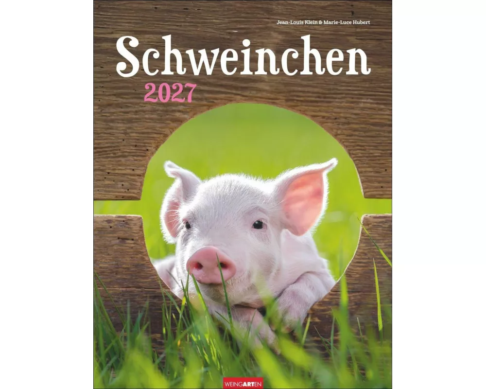 Schweinchen Kalender 2027