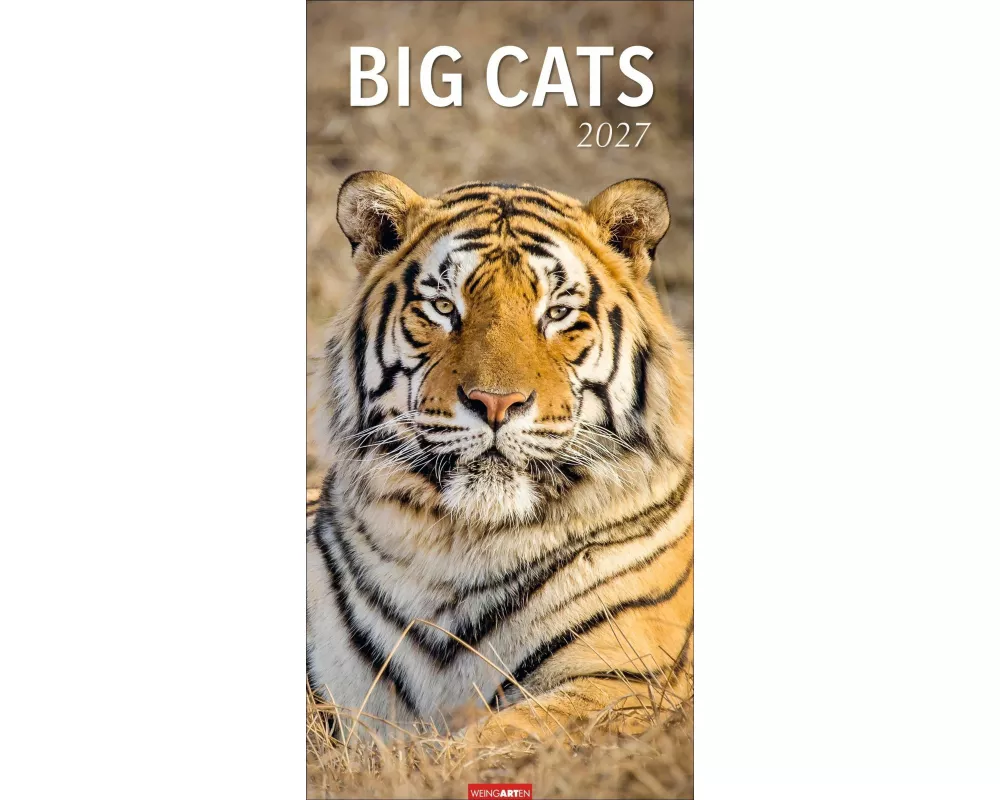 Big Cats Kalender 2027