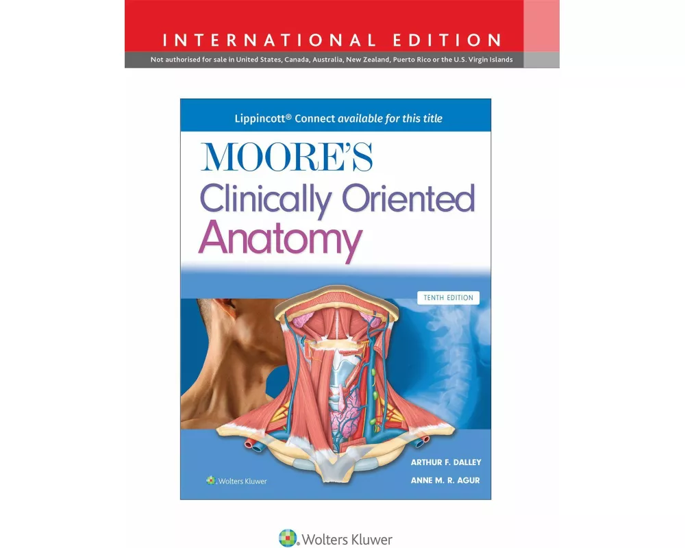 Moore's Clinically Oriented Anatomy