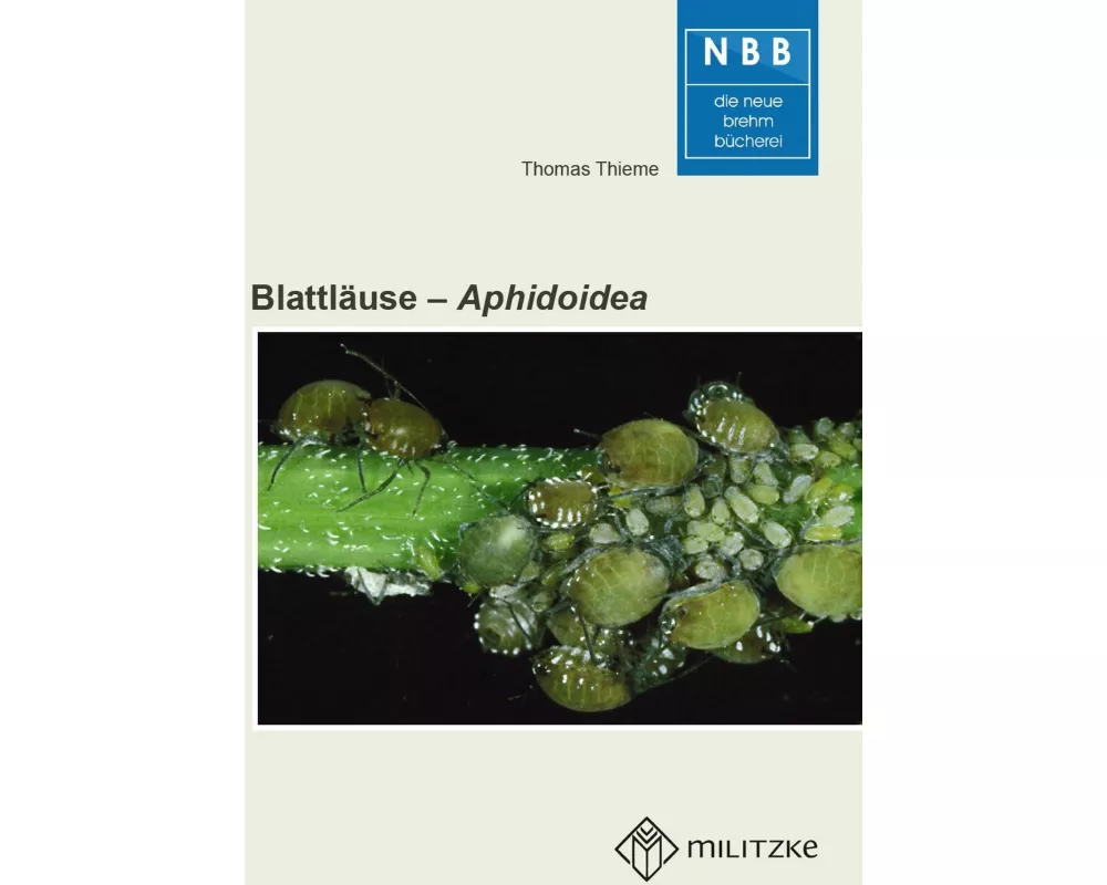 Blattläuse - Aphidoidea