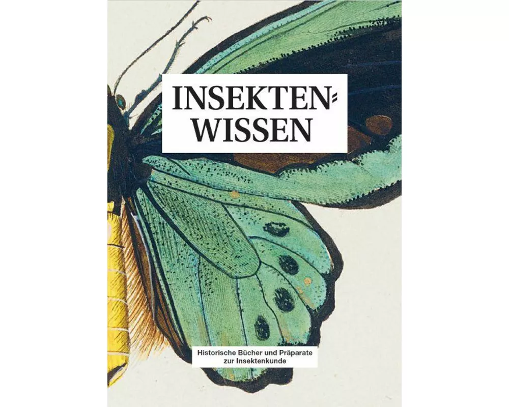 Insektenwissen