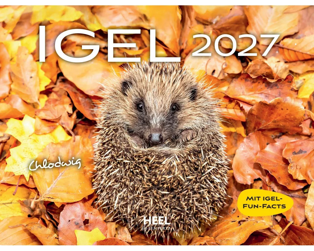Igel 2027 Eintragkalender