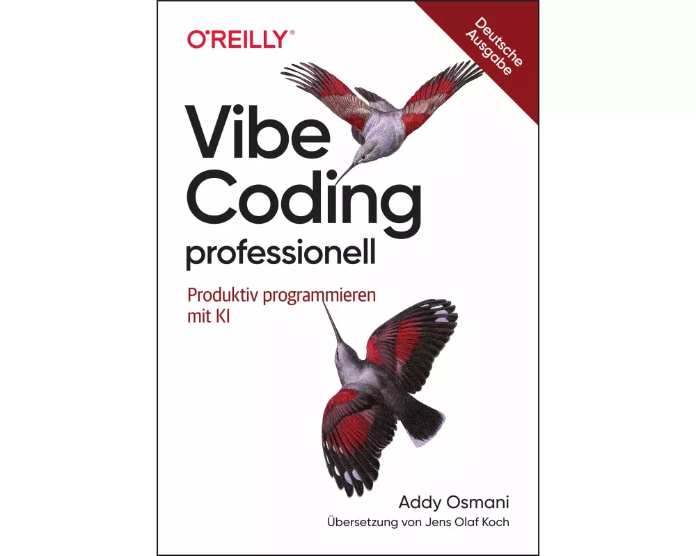 Vibe Coding professionell