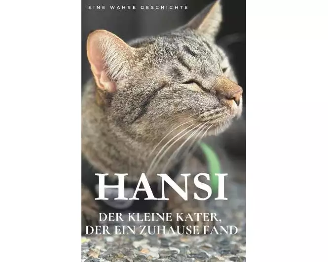 Hansi. Der kleine Kater, der ein Zuhause fand