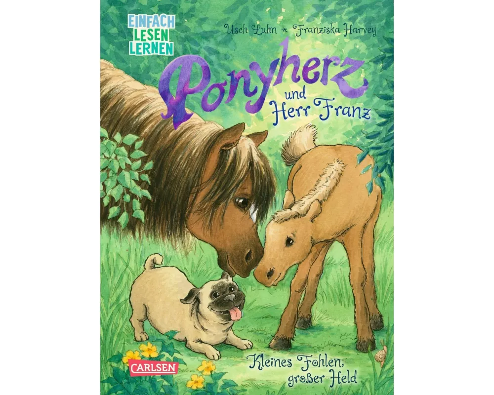 Ponyherz und Herr Franz: Kleines Fohlen, großer Held