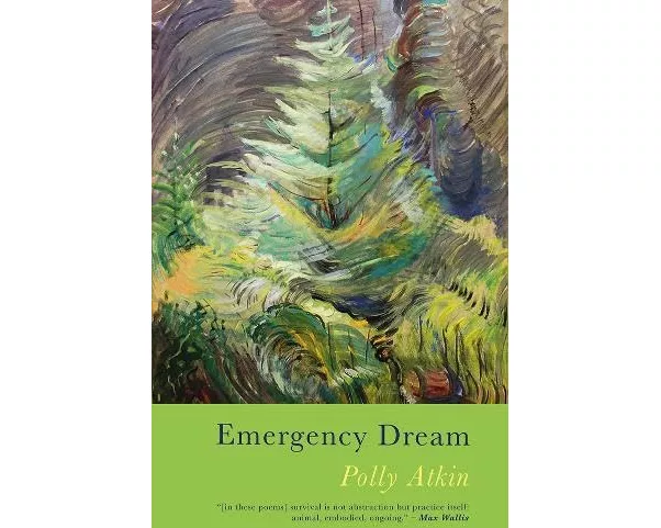 Emergency Dream