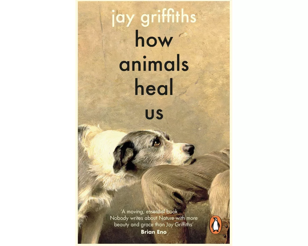 How Animals Heal Us