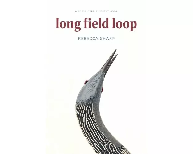 Long Field Loop