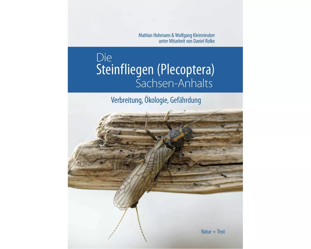 Die Steinfliegen (Plecoptera) Sachsen-Anhalts
