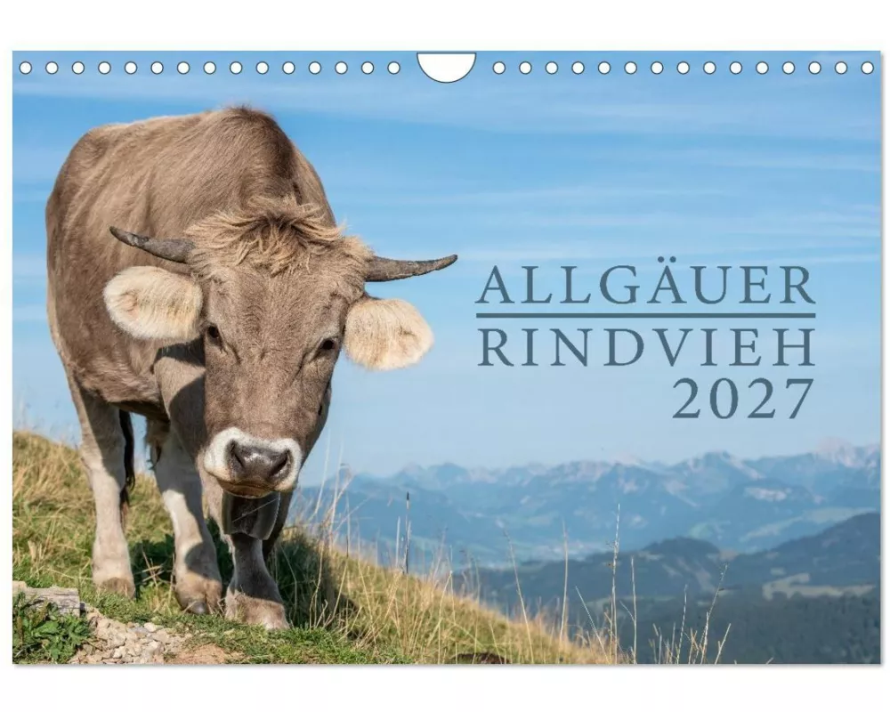 Allgäuer Rindvieh 2027 (Wandkalender 2027 DIN A4 quer), CALVENDO Monatskalender