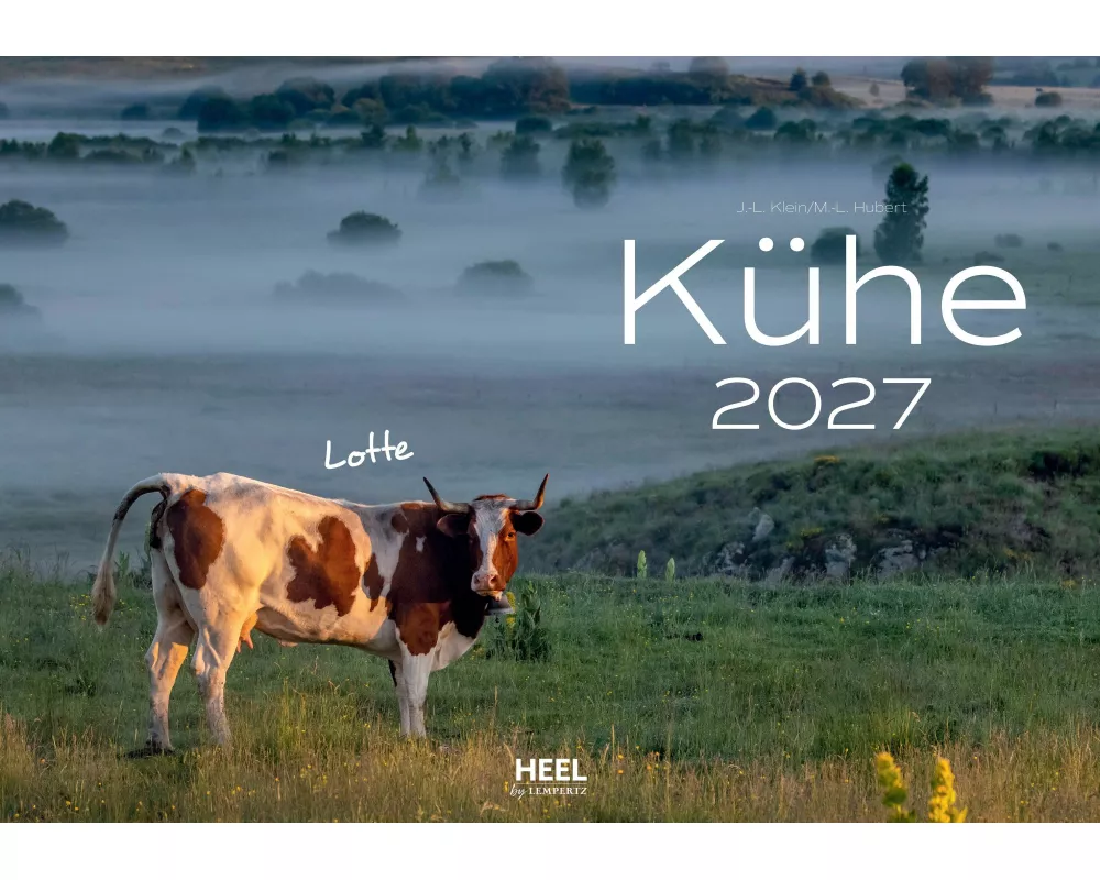 Kühe Kalender 2027 Wandkalender