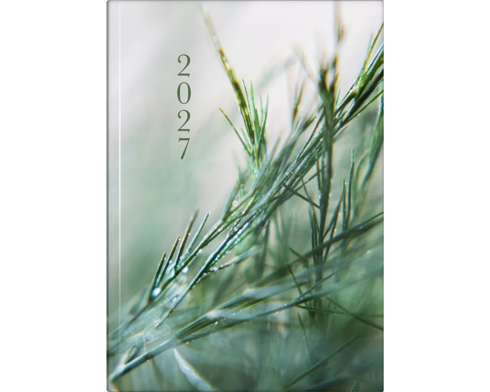 rido/idé 7021507017 Buchkalender Premium Young Line 2027 "Greeny" A5, Papier