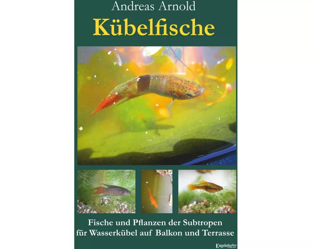 Kübelfische