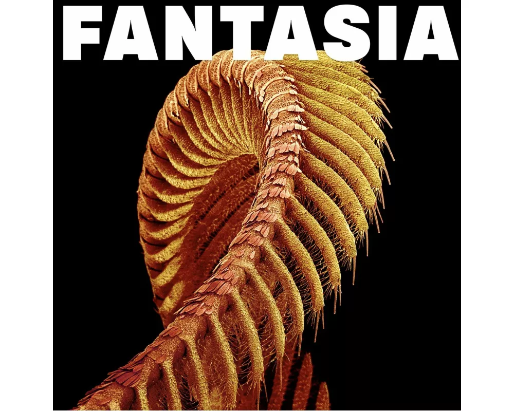 Fantasia
