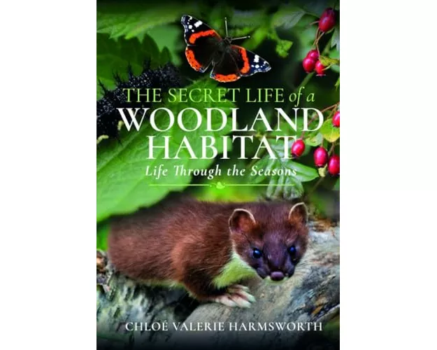 The Secret Life of a Woodland Habitat