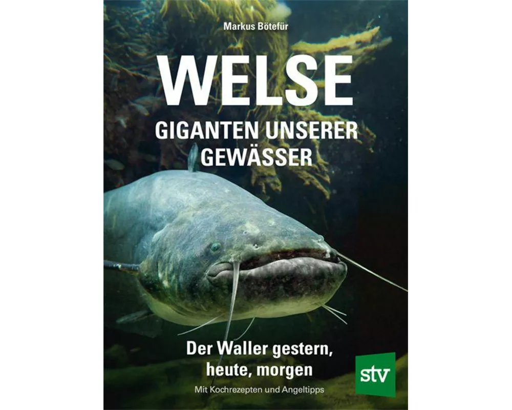 Welse - Giganten unserer Gewässer