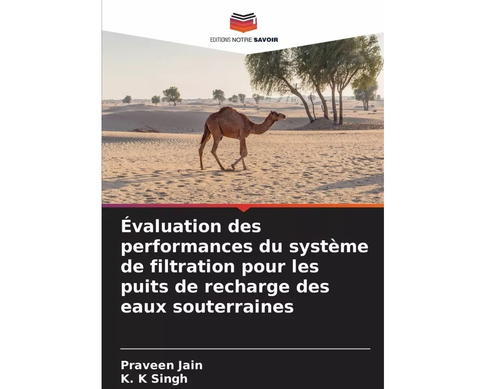 Évaluation des performances du système de filtration pour les puits de recharge des eaux souterraines