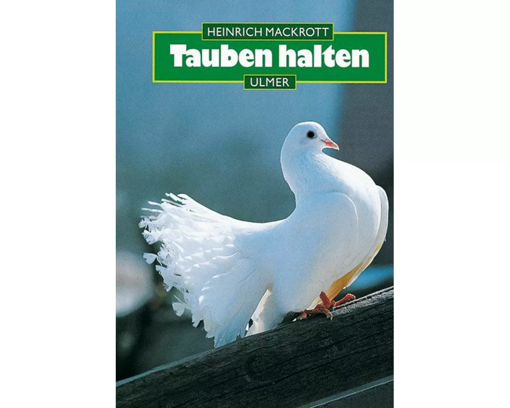 Tauben halten
