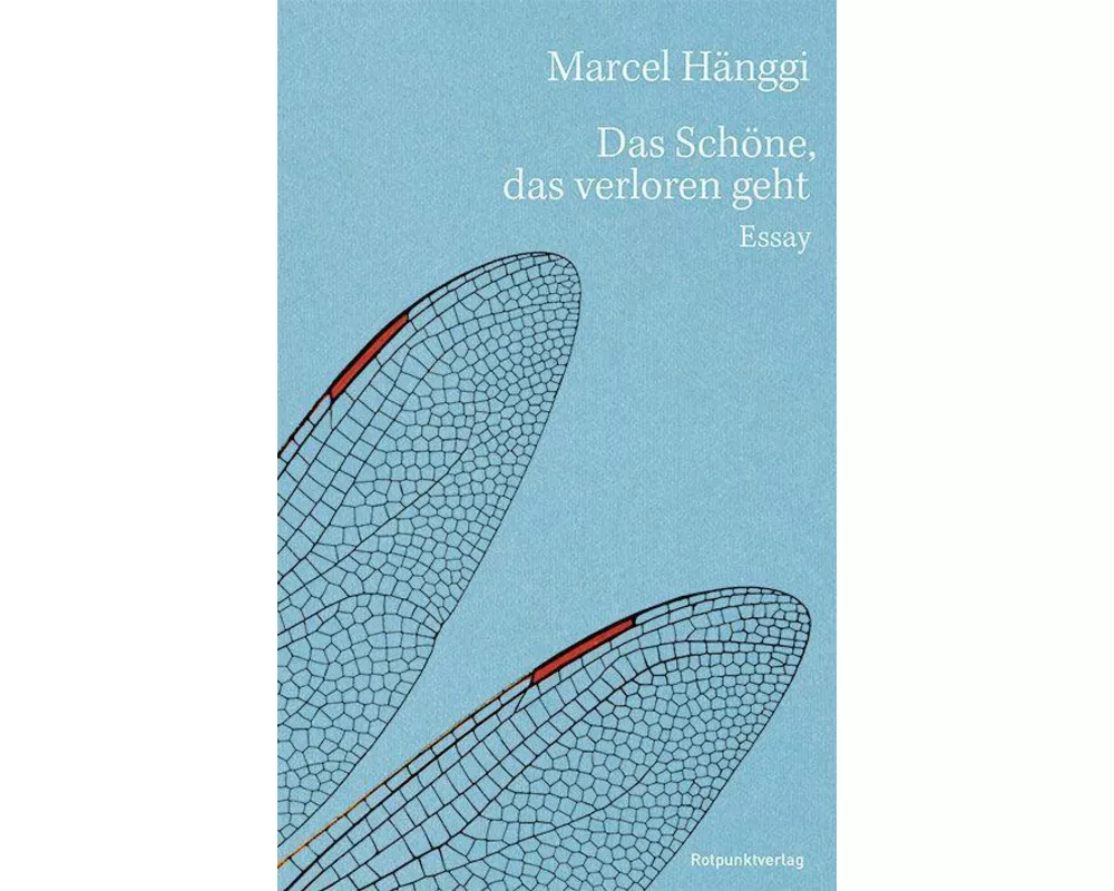 Das Schöne, das verloren geht