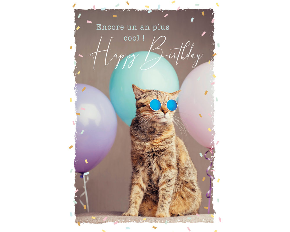 ABC Geburtstagskarte FR B6 53066 Sunny Cat