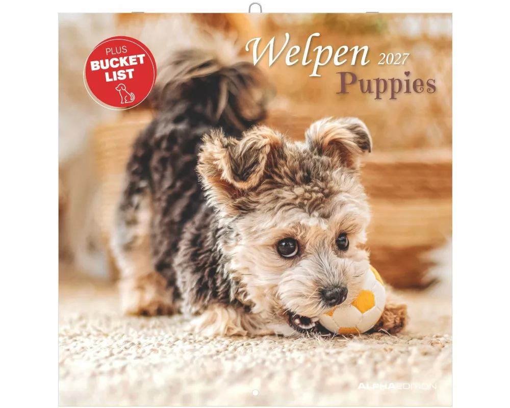 Welpen 2027