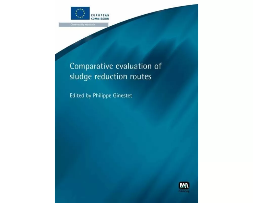 Comparative Evaluation of Sludge Reduction Routes