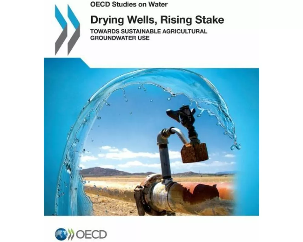 Drying Wells, Rising Stakes – Towards Sustainable Agricultural Groundwater Use