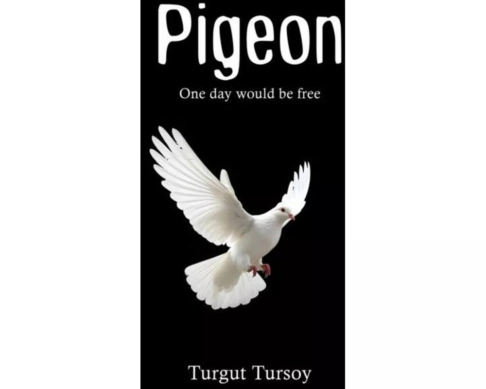 Pigeon