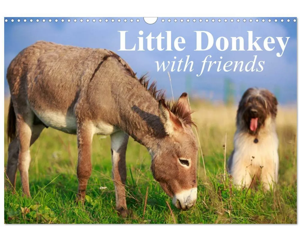 Little Donkey with Friends (Wall Calendar 2026 DIN A3 landscape), CALVENDO 12 Month Wall Calendar