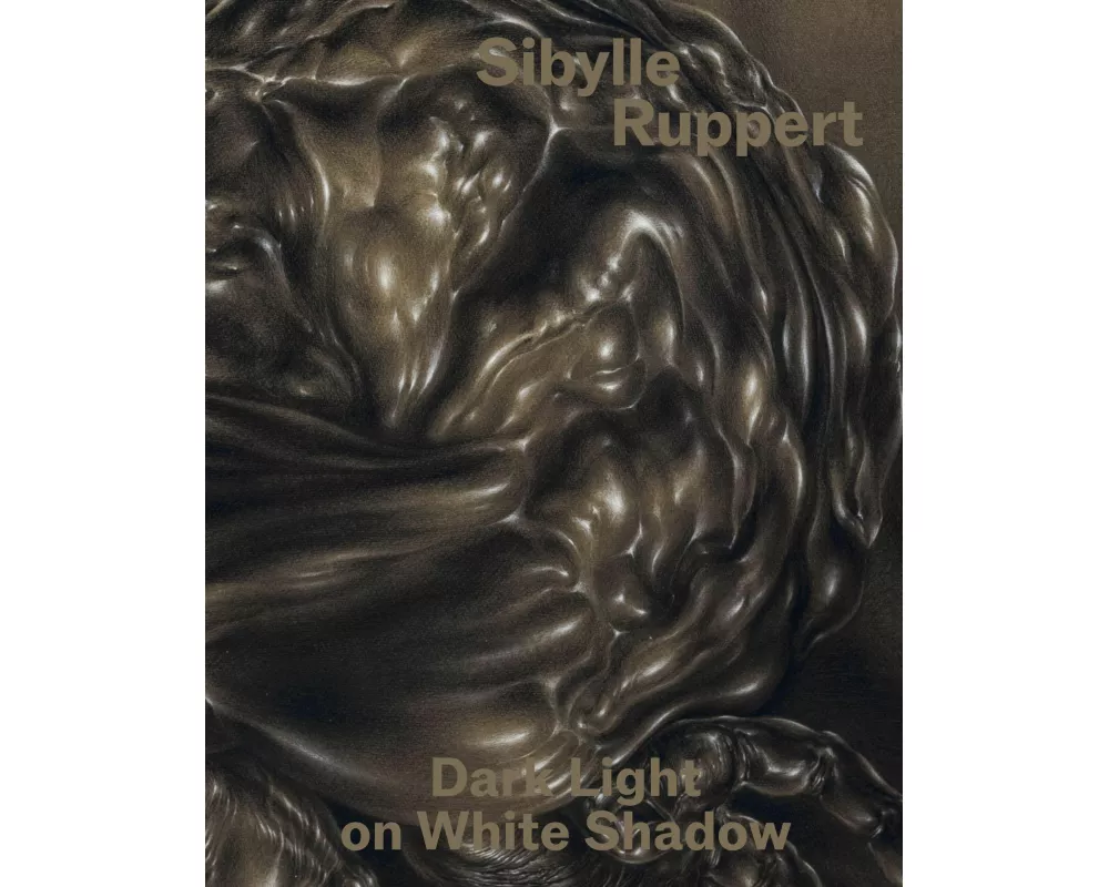 Dark Light on White Shadow