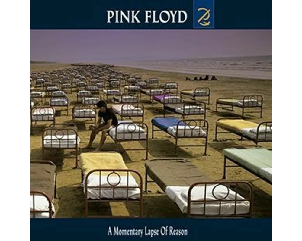 A Momentary Lapse of Reason