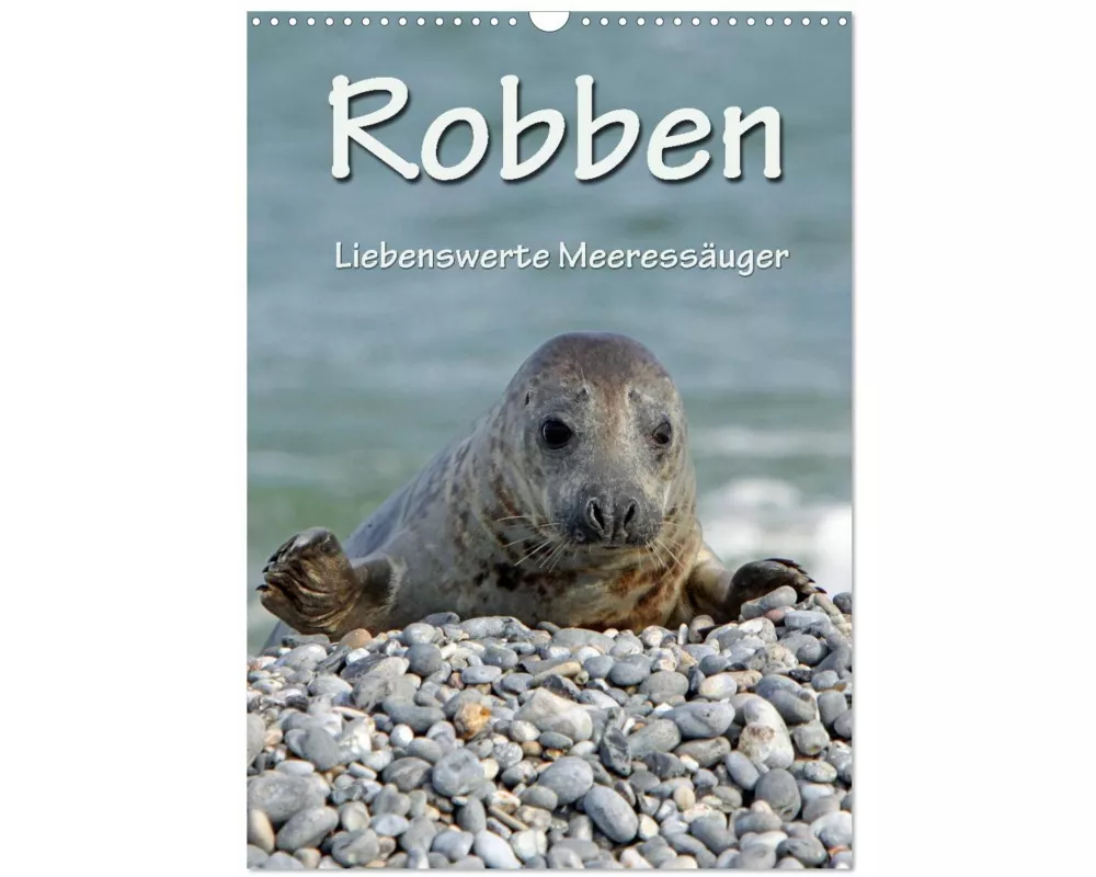 Robben (Wandkalender 2026 DIN A3 hoch), CALVENDO Monatskalender