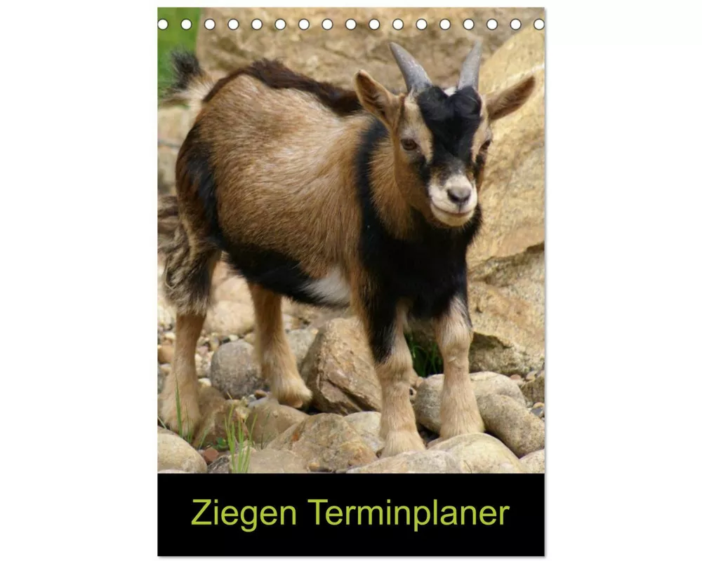 Ziegen Terminplaner (Tischkalender 2026 DIN A5 hoch), CALVENDO Monatskalender