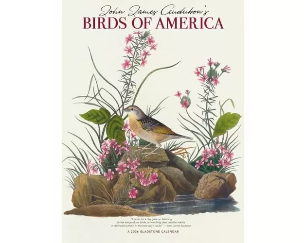 Audubon's Birds of America DLX