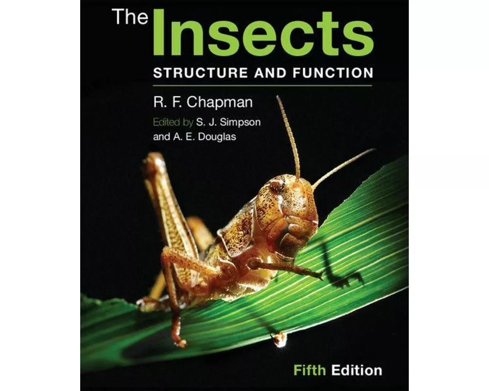 The Insects