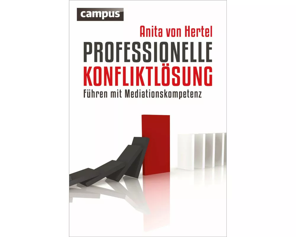 Professionelle Konfliktlösung