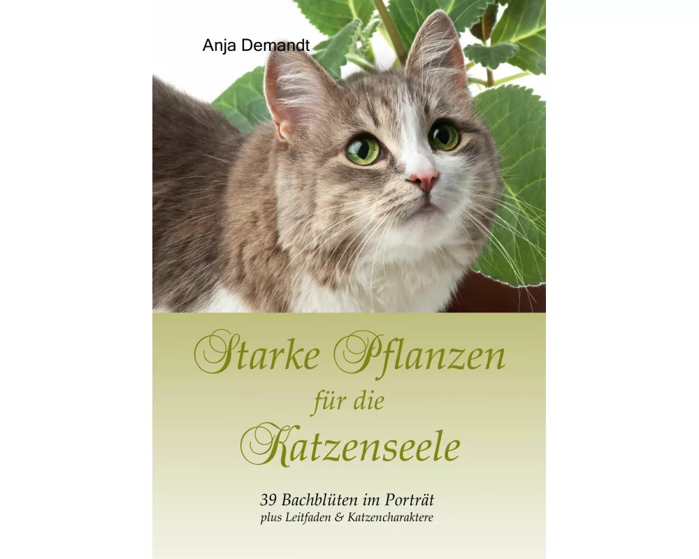 Starke Pflanzen für die Katzenseele