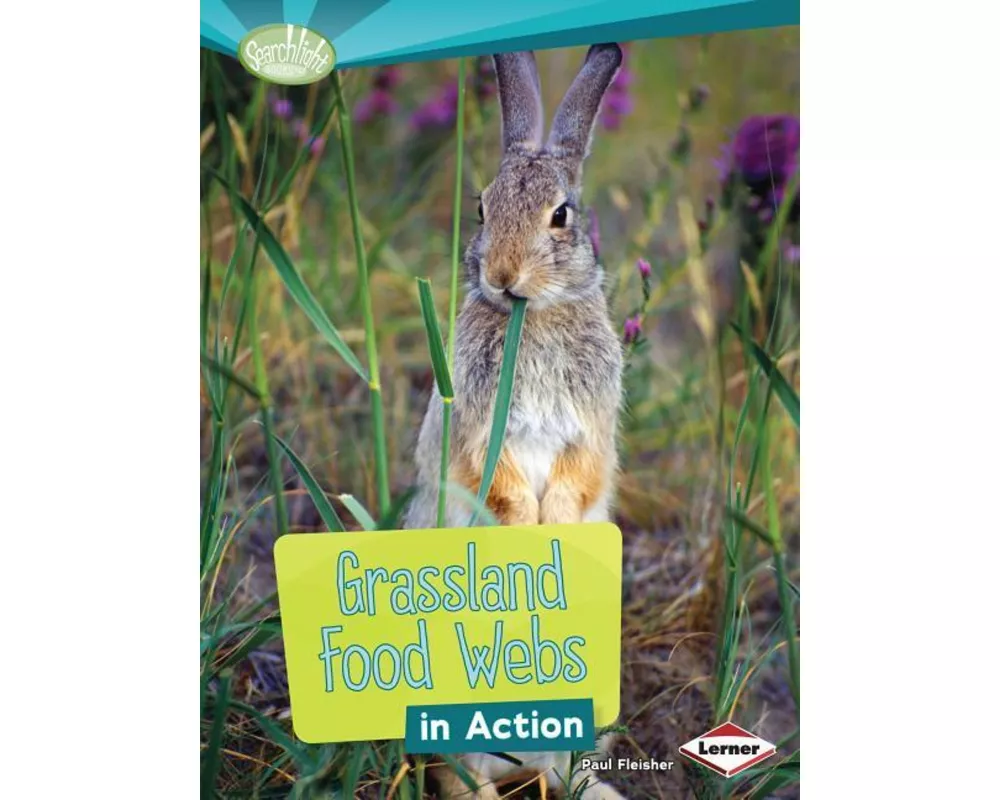 Grassland Food Webs in Action