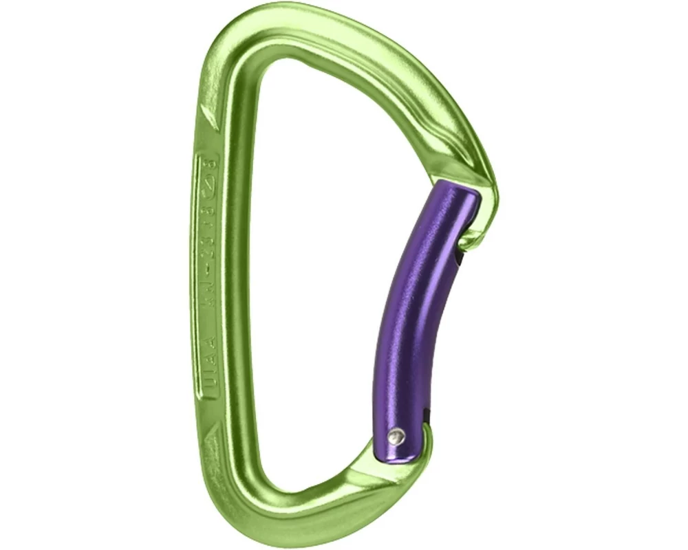 Wild Country Carabiner Session Bent Gate Grün