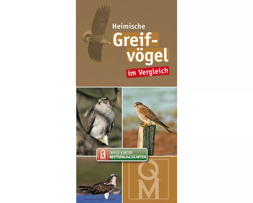 Bestimungskarten Heimische Greifvögel