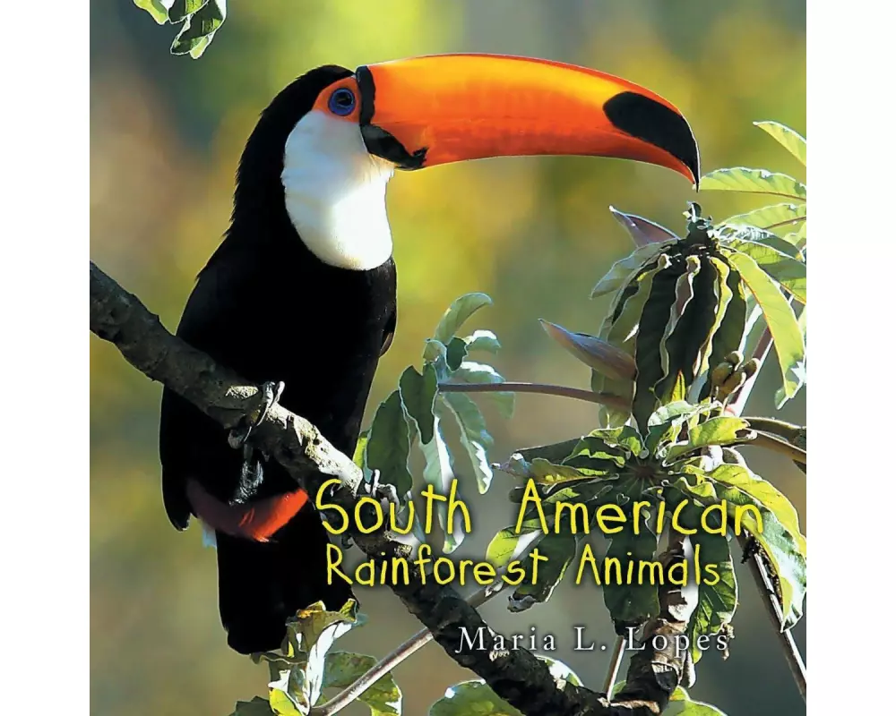 South American Rainforest Animals