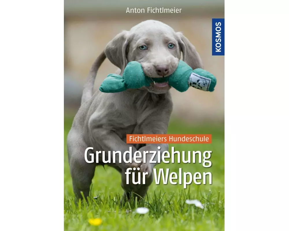 Grunderziehung für Welpen