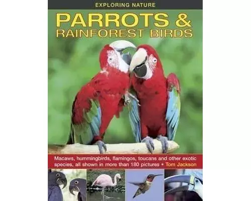 Exploring Nature: Parrots & Rainforest Birds
