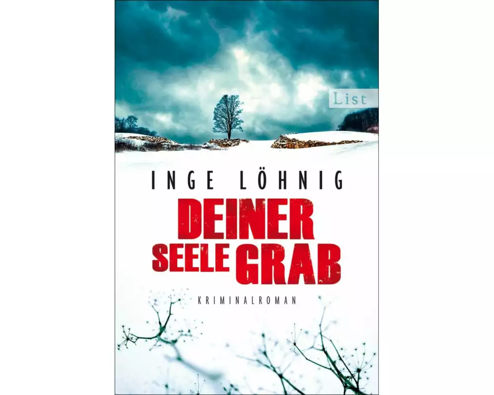 Deiner Seele Grab (Ein Kommissar-Dühnfort-Krimi 6)