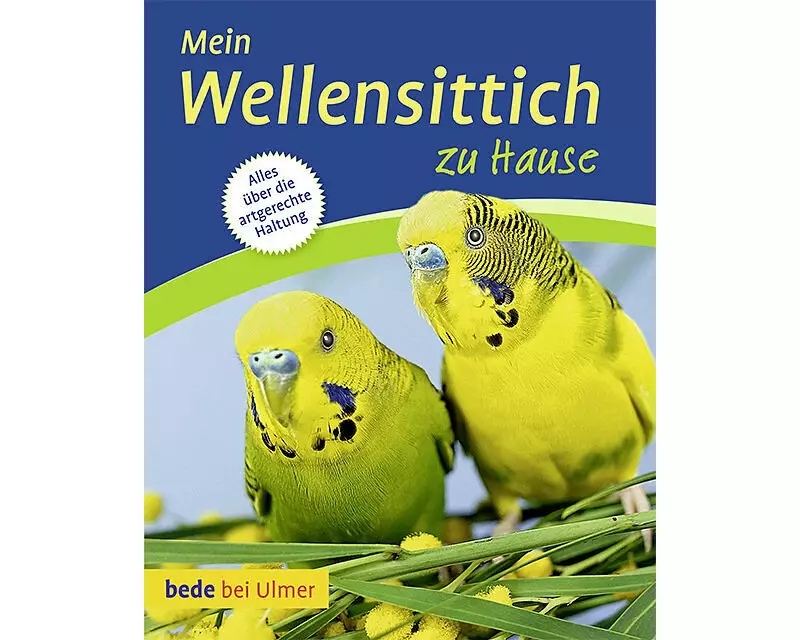 Mein Wellensittich zu Hause