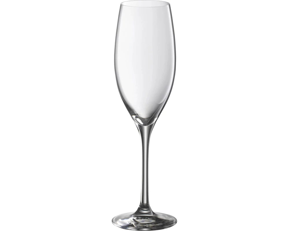 WMF Champagnerglas EasyPlus 250 ml, 6 Stück, Transparent