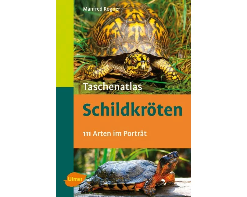 Schildkröten