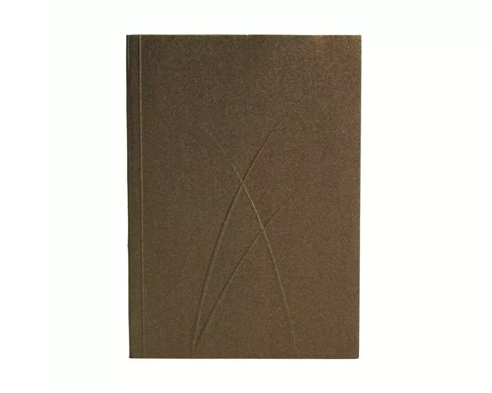 PaperOh Notizbuch Puro A6, Liniert, Bronze