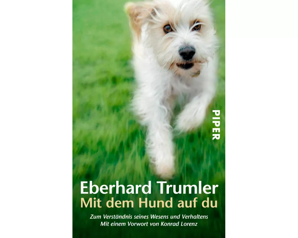 Mit dem Hund auf du
