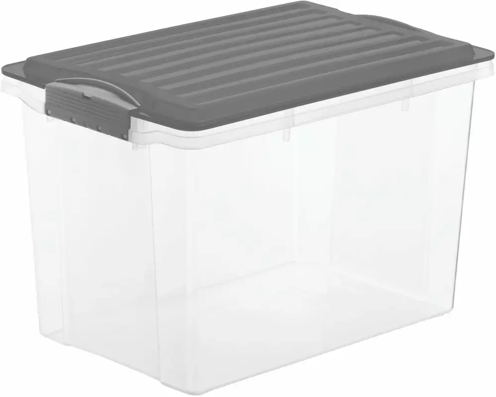 Rotho Aufbewahrungsbox Compact A4 / 19 Liter Anthrazit